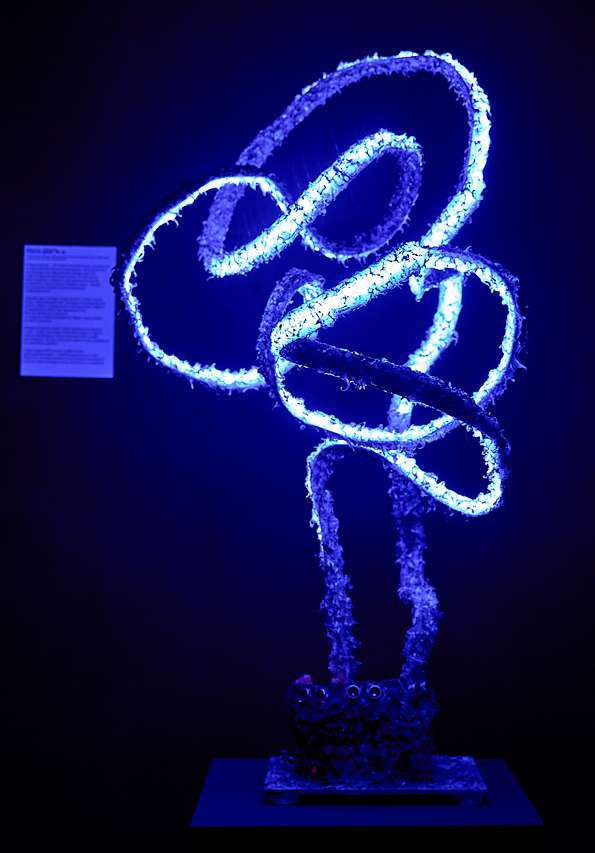 Quantum Path
